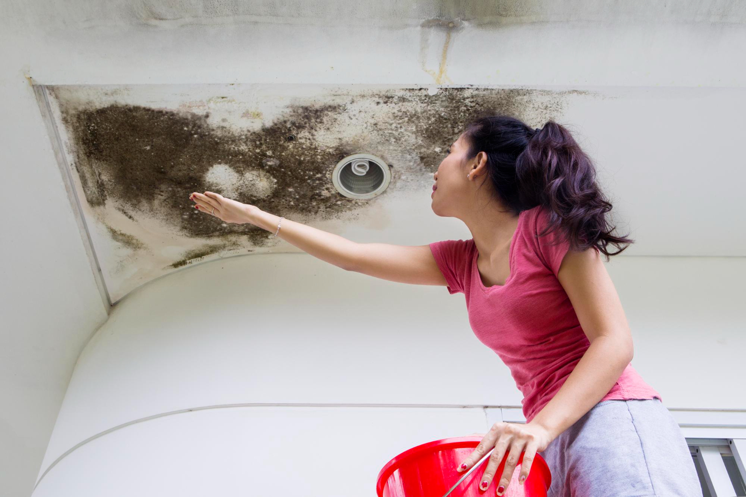 Mulher observa bolor no teto de casa