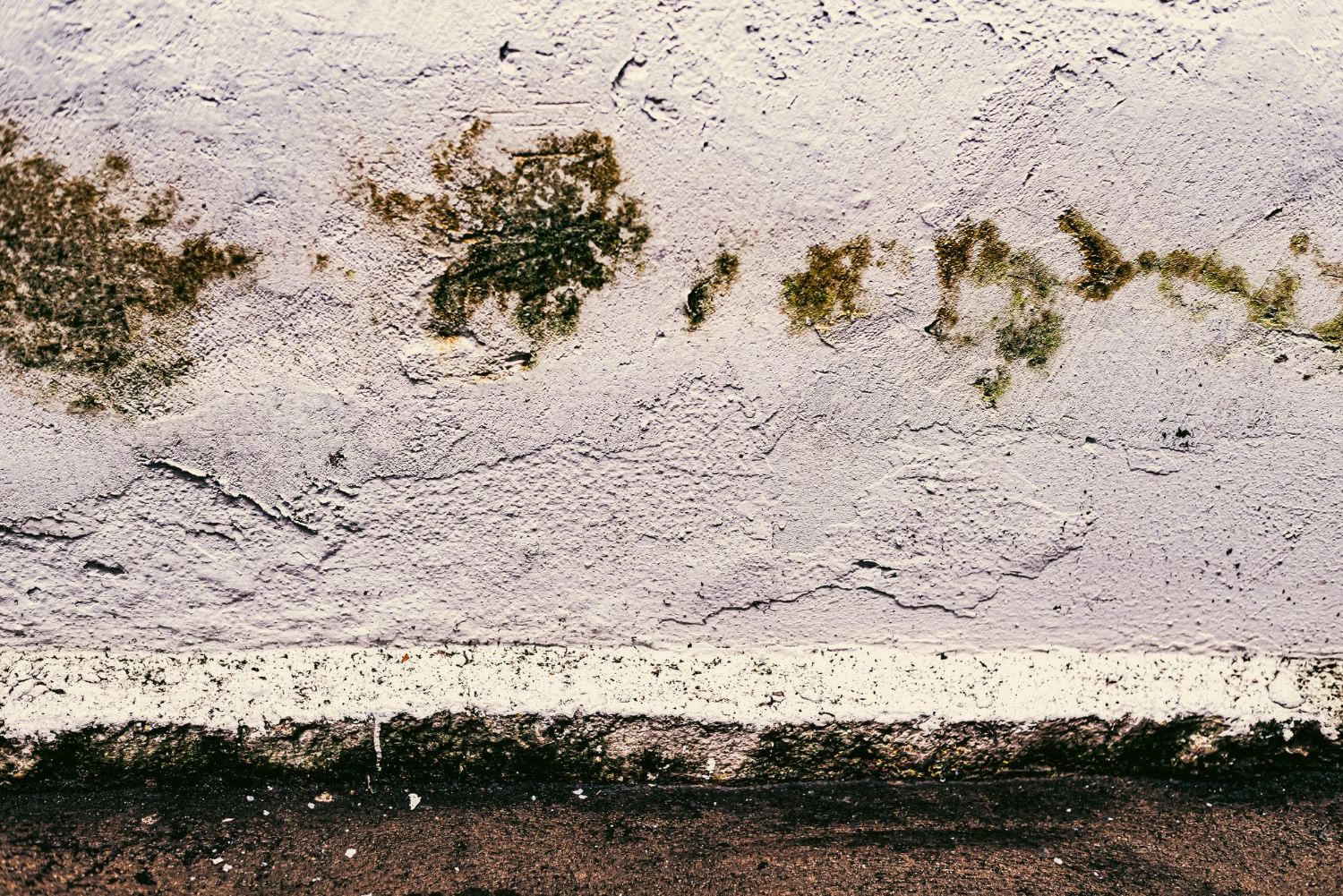 Detalhe de uma infiltração na parede externa