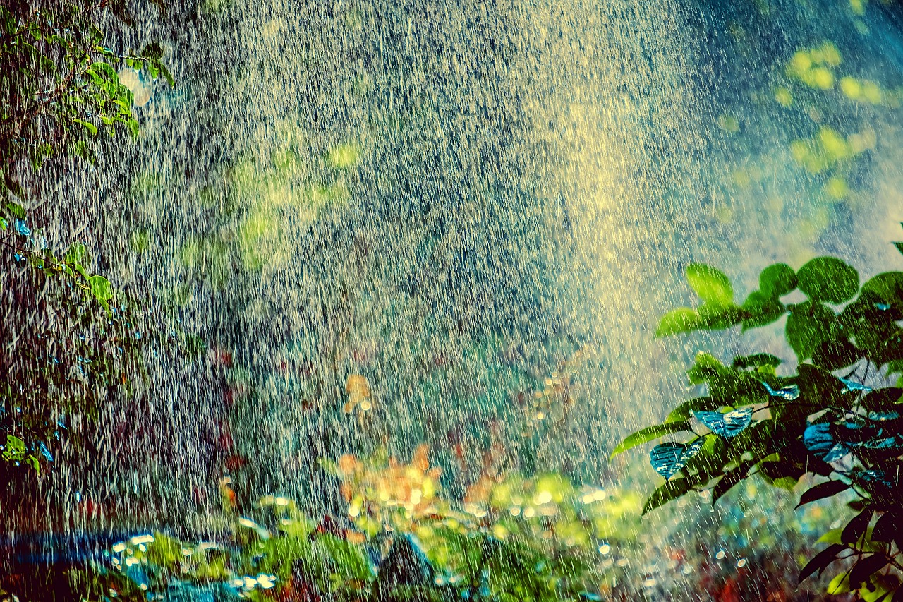 Água espirrando após irrigação de uma área aberta em casa. Imagem: Pixabay Água espirrando após irrigação de uma área aberta em casa. Imagem: Pixabay