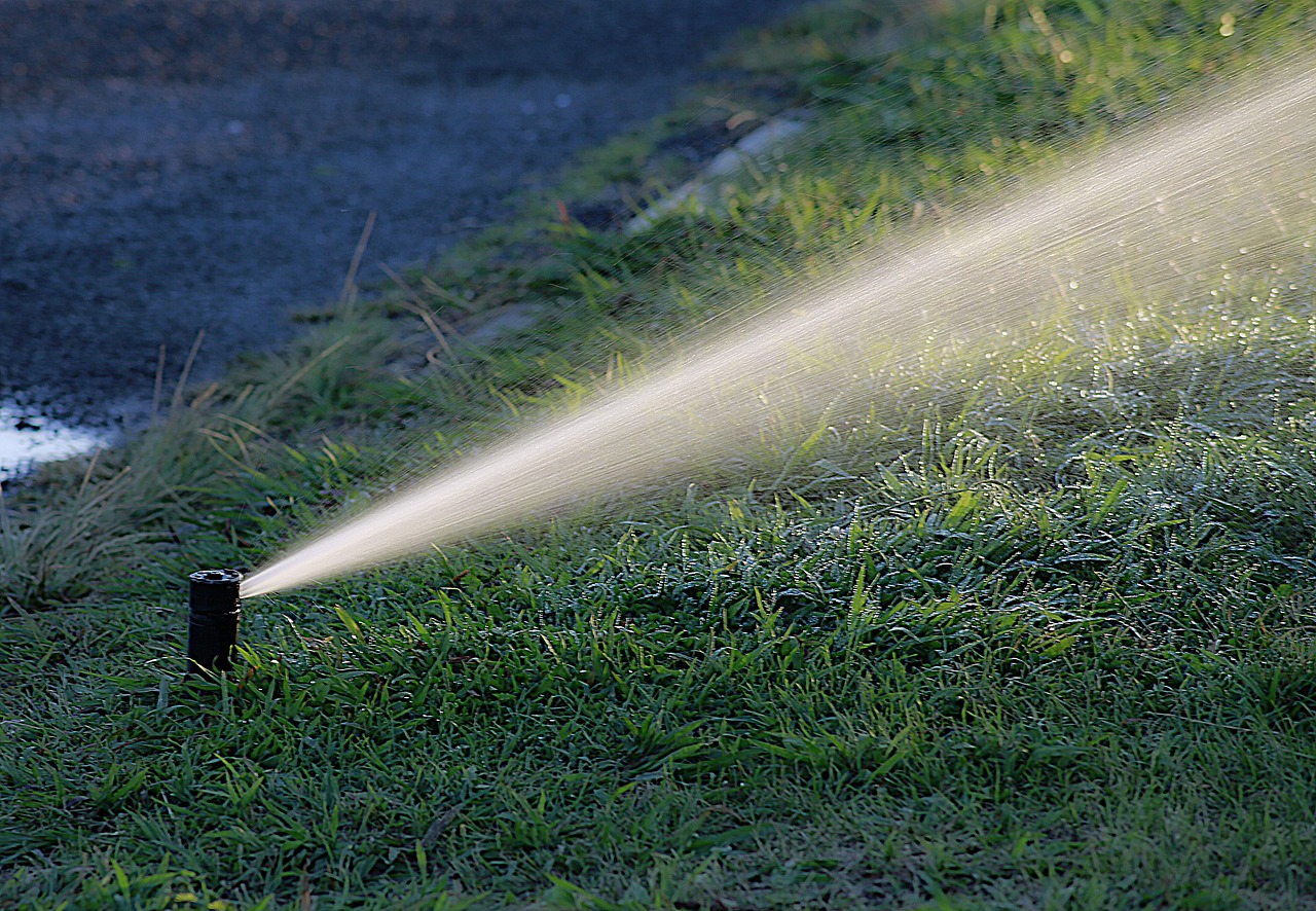 Instalação de sistema de irrigação: como fazer a instalação do jeito certo. Imagem: Pixabay